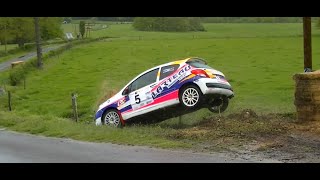 Best-of rallye 2019 Crash Mistakes and Show