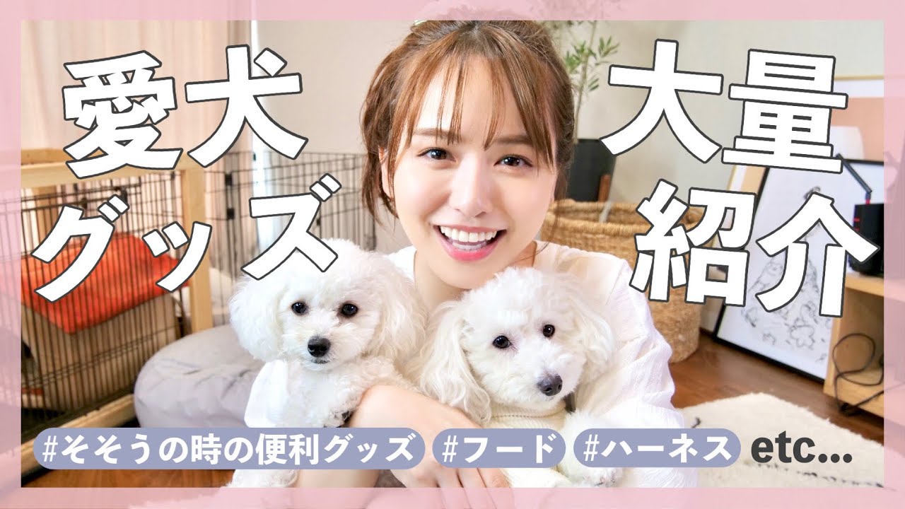 必見 便利すぎる愛犬グッズ達を大量紹介 Youtube 必見 便利すぎる愛犬グッズ達を大量紹介 Youtube