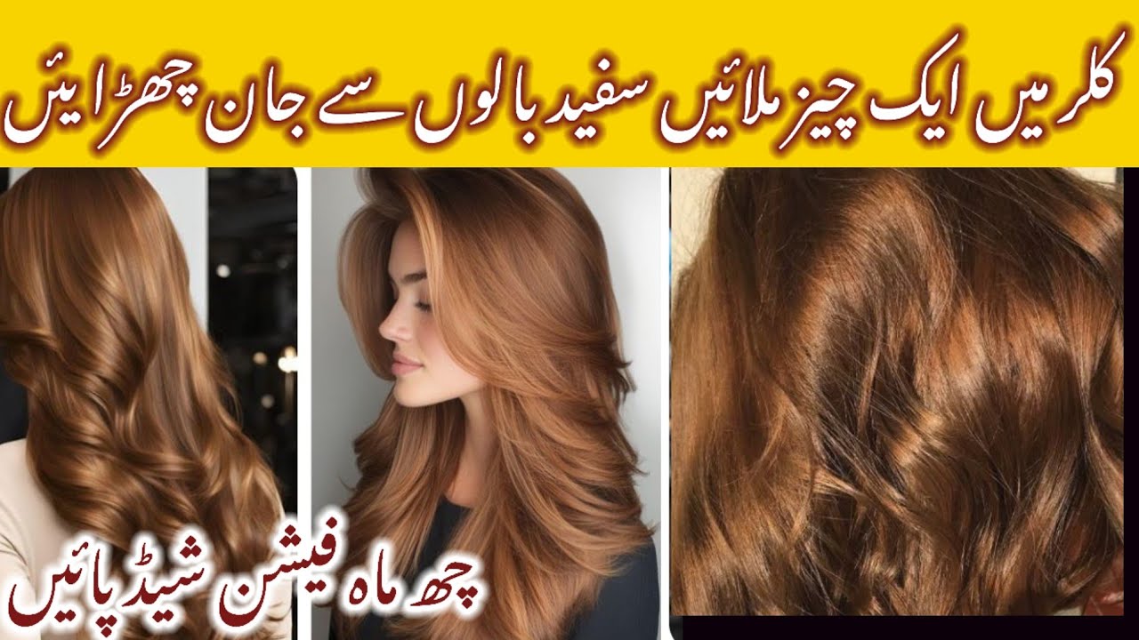 Dark brown hair colour ||golden brown colour at home| grey coverage hair 100% result dark brown hair