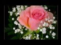 Bouquet de douceur ( Wolfgang Amadeus Mozart ).wmv