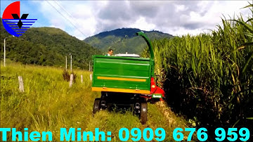 May cat co da nang   MG 100 PAS150   co voi cao luong  Bap ngo