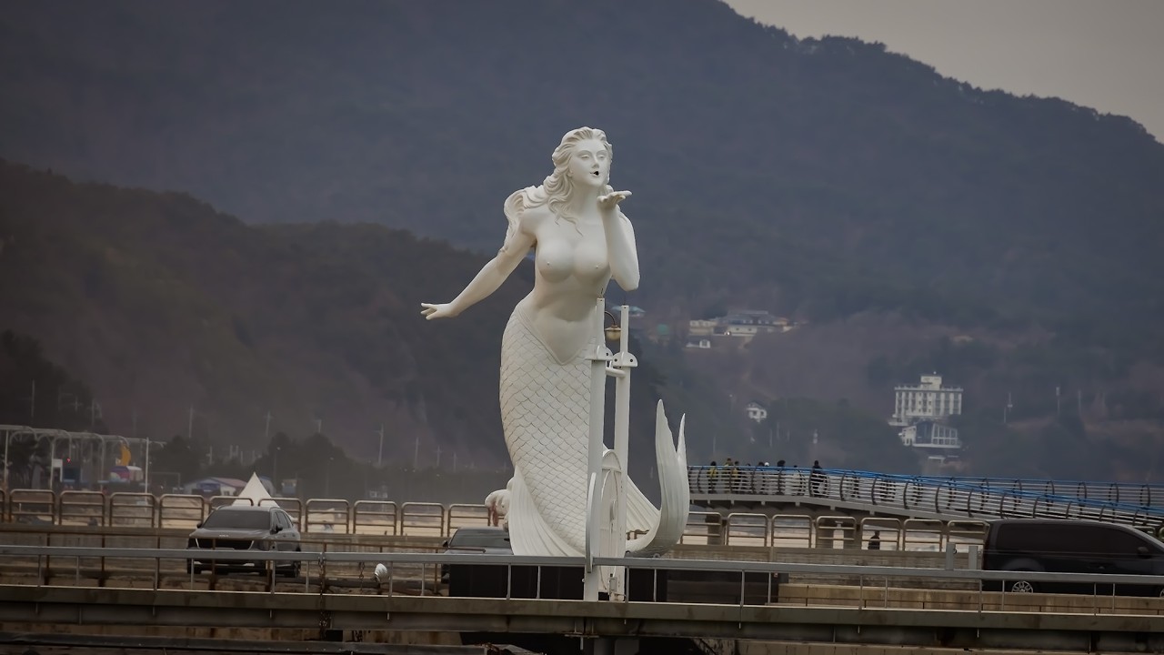 강릉바우길+심곡부채길+정동진 트래킹  (2026.02.28)  # 모델공연 동영상#가수음악영상#시니어모델 영상,사진