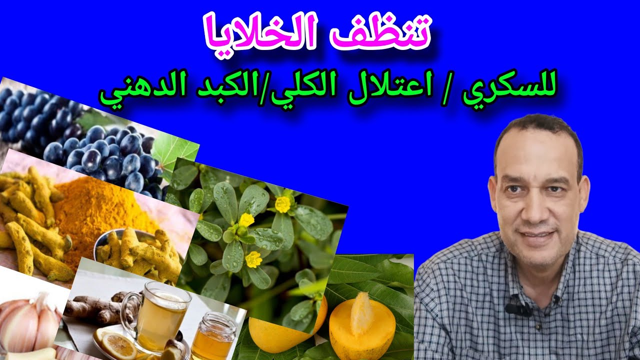تنظف خلايا البنكرياس و الكلي و الكبد/ في كل بيت. increase autophagy