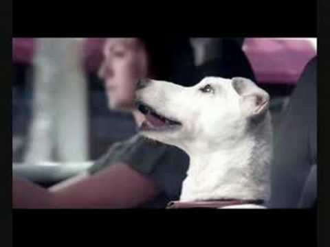 Charlie Winston-I&#039;m a man