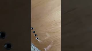 Sire Marcus Miller V5 Bass Guitar  Unboxing