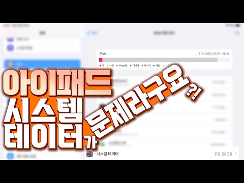 시스템 데이터가 대체 뭔데 Tlqkf 내 추억 돌려줘 