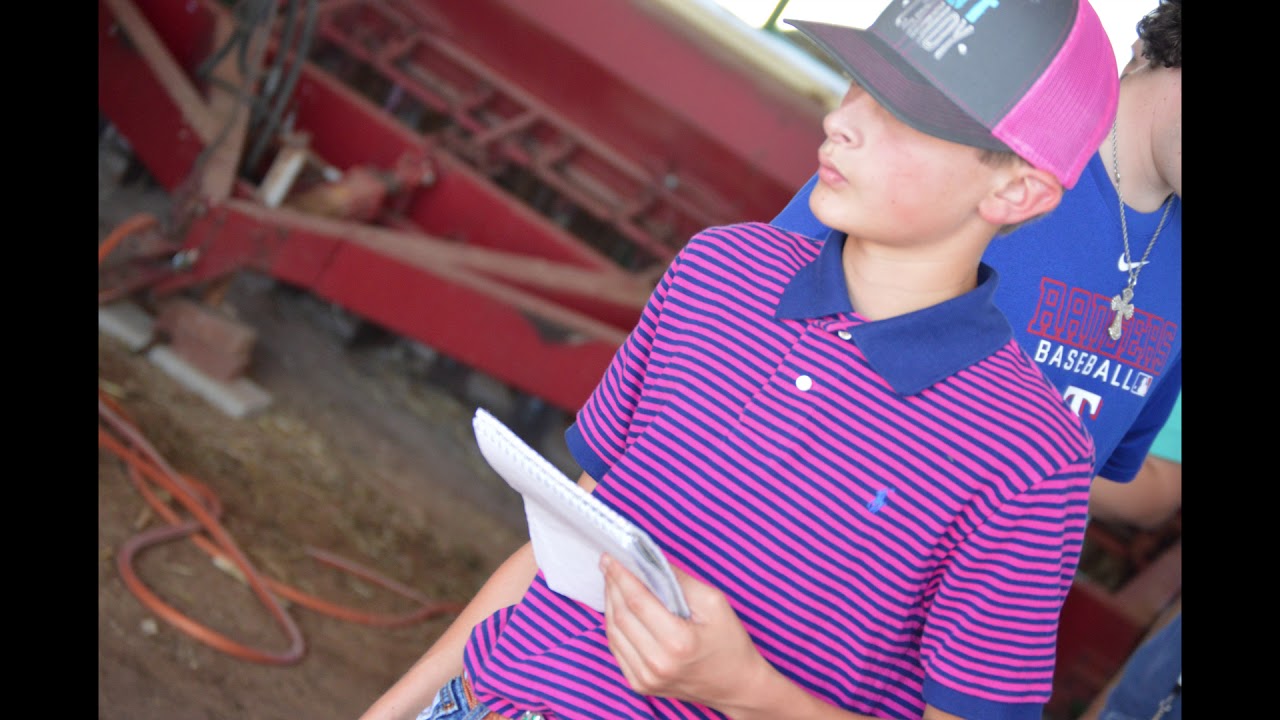 South Plains College Livestock Judging Camp