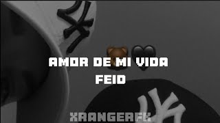 AMOR DE MI VIDA - FEID { Letra }