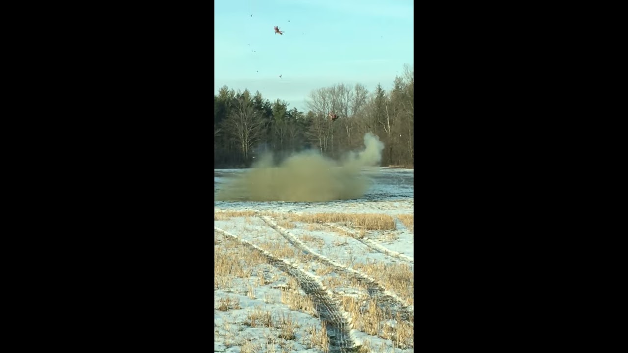 Dead Cow Vs 5lbs Tannerite