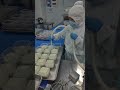 BOINES Cheese Filling Machine | Mass Produce Cheesecake Cups Fast #fillingmachine #filling #Cheese