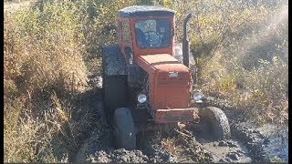 Трактор Т 40 застрял в Болоте. Оффроад на тракторах 2019