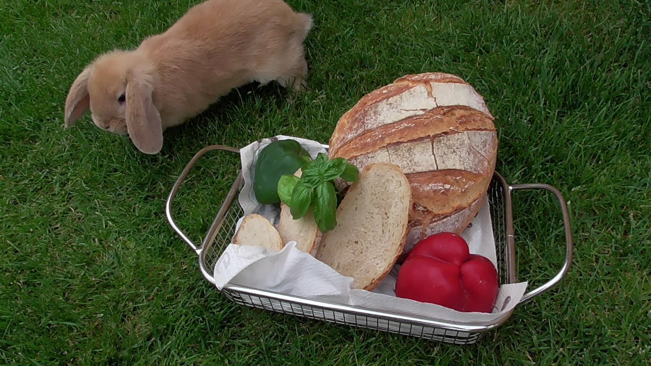 Sommerbrot      Thermomix®TM5