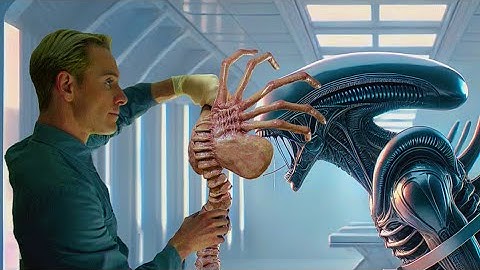 What If a FACEHUGGER attacked a XENOMORPH?