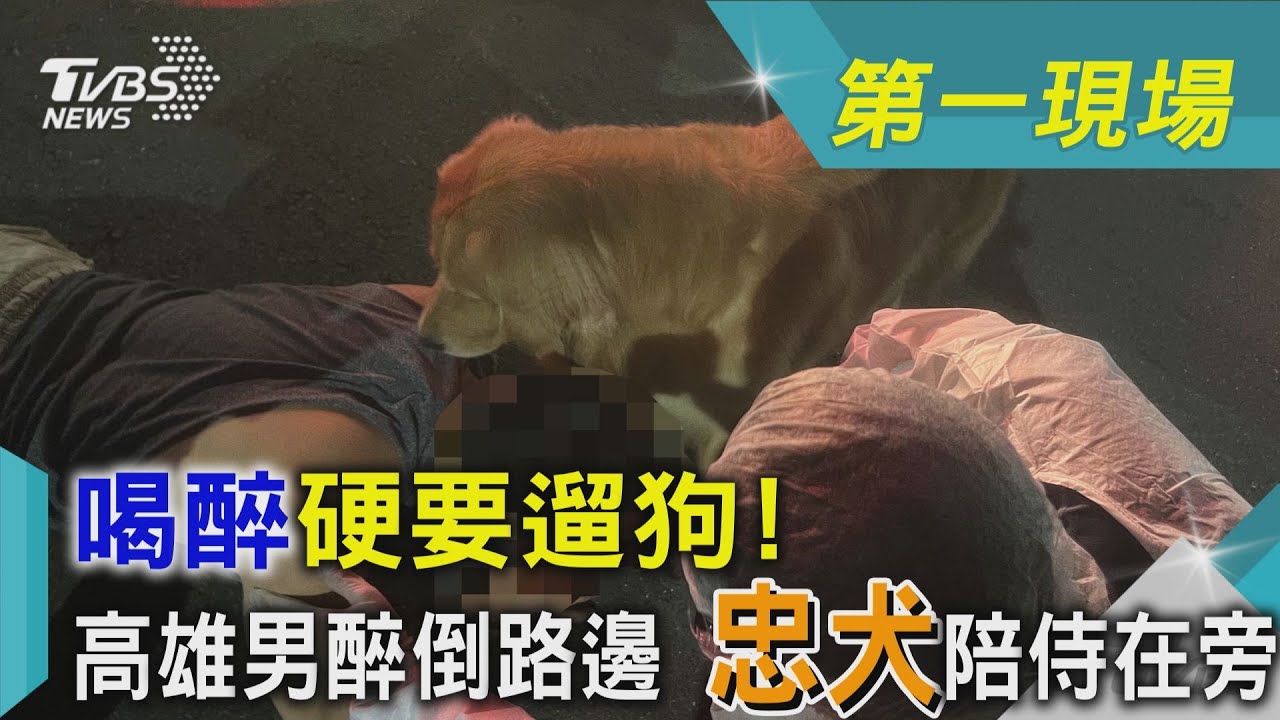 喝醉硬要遛狗! 高雄男醉倒路邊 忠犬陪侍在旁｜TVBS新聞