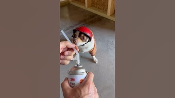 Teaching The New Guy to Fire Block