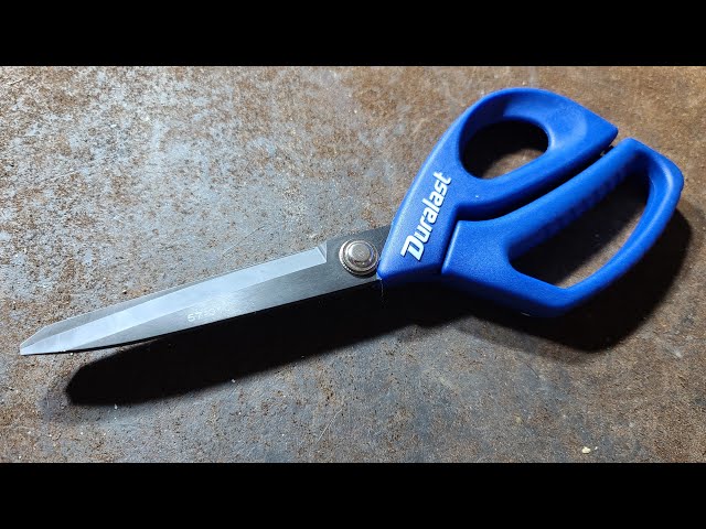 The 3 Best Kitchen Shears of 2024, Tested & Reviewed