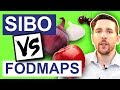 SIBO Treatment | Should You Avoid FODMAPS? | Whats The Best SIBO Diet?