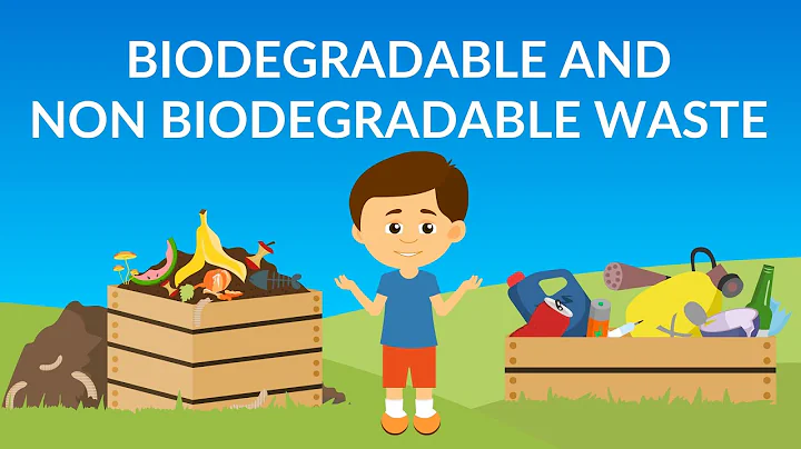 Biodegradable and Non-Biodegradable waste  | Waste Management | How to Recycle Waste - DayDayNews
