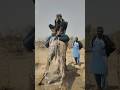لقطة مدهشة امرأة بدوية تجلس فوق الجمل وتسكب الماء من الخلف لتبريده تحت حرارة الشمس الحارقة
