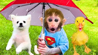 Bingo Song | Nursery Rhymes & Kids Songs | Bon Bon Monkey Kids Songs & Baby Songs