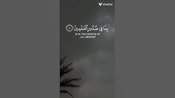 الآية الكريمة"أوليس الله بأعلم بما في صدور العالمين" هي جزء من الآية رقم 10 من سورة العنكبوت #قرآن