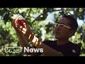 Farming in Fukushima 10 Years After the Nuclear Meltdown