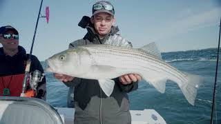 Buzzards Bay and Elizabeth Islands Fishing Reports - Salty Cape