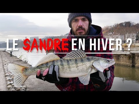 sandre en hiver sandre en hiver