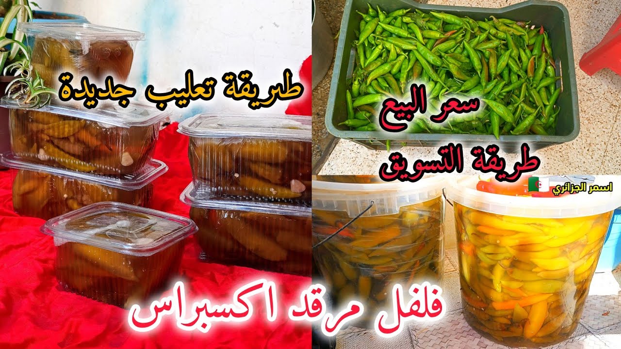 مشروع فلفل مرقد اكسبراس وجده وفي اسبوع تبدو تبيعو  دخلو مصروف ربي يبارك  مع طريقة تعليب جديدة