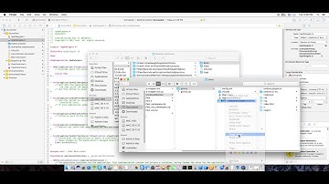 GcmvpCordovaWebViewController