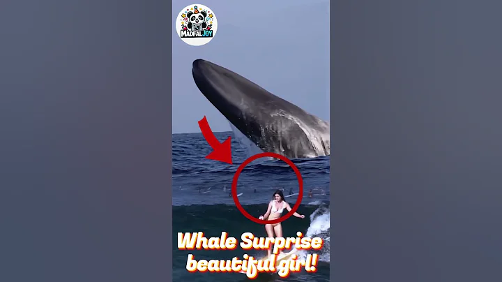 Beautiful Girl Gets a Giant Whale Surprise While Surfing! #amazing #movie