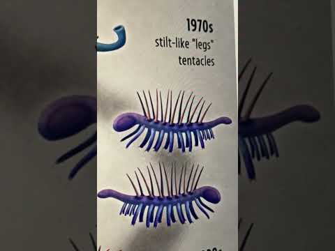 تاريخ الهالوسيجينيا