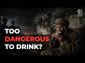 The Secret Energy Drink from 600 Years Ago