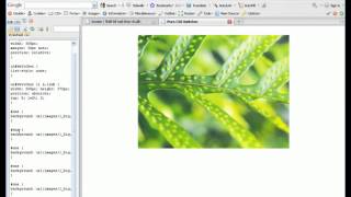 CSS Image Switcher||Training in information technology