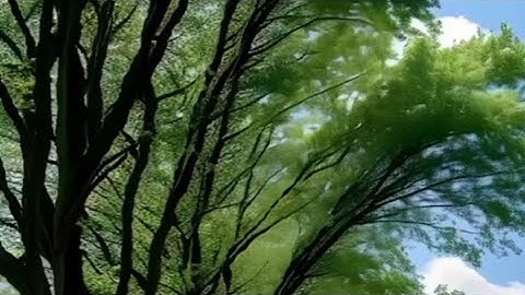 دعاء تيسير الامور #explore #اكسبلور #استغفار #اذكار #قرآن #دين #ترند #لايك #رزق #foryou #viralvideo