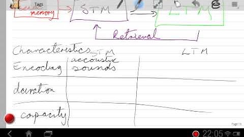 Atkinson and Shiffrin Multi Store Model of Memory