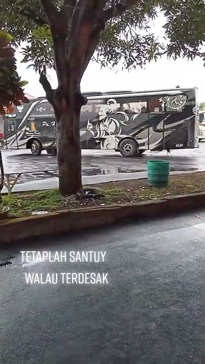 Bus Story : PO Haryanto #shorts(2)