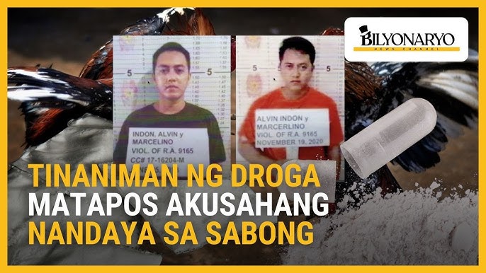 2 testigo, tinaniman umano ng droga matapos akusahang nandaya sa sabong |  Agenda - YouTube