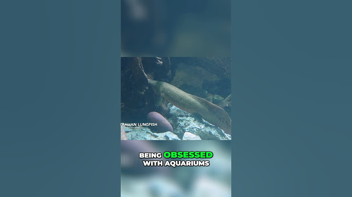 One of the Rarest Fish in the World