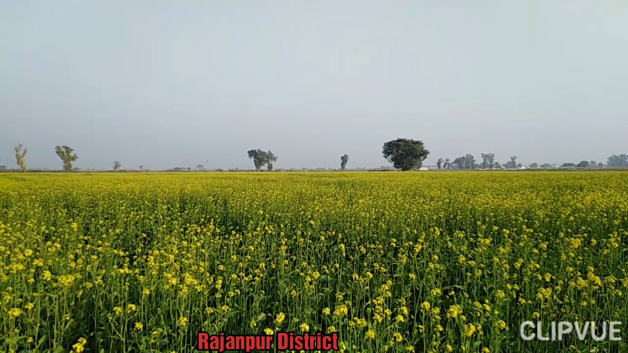 Pakistan Rajan Rajan pur punjab pakistan - YouTube