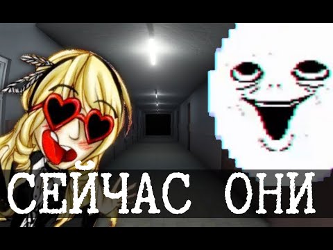 Видео: Дно интернета 2 (Stephanie lawson, НИИ Тред, Eckvanet)