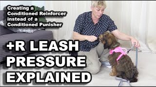 Leash Pressure trained with +R EXPLAINED  Professional Dog Training