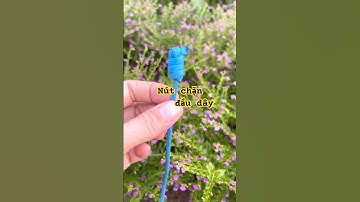 #119 Nút thắt đơn giản (Overhand knot) dùng để làm nút chặn đầu dây #knot #diy #tutorial #shorts
