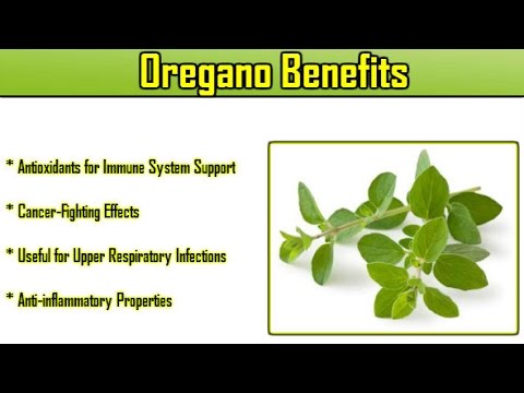in urdu meaning of oregano in urdu meaning of oregano