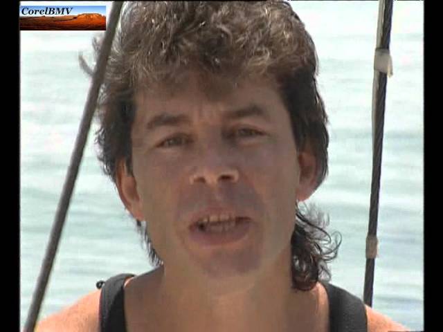 газманов балтийский берег. газманов балтийский берег. газманов балтийский берег. газманов балтийский берег. газманов новогодняя ночь.