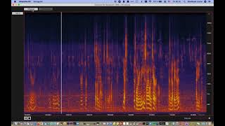 Absentia DX Birds Reducer Wealth