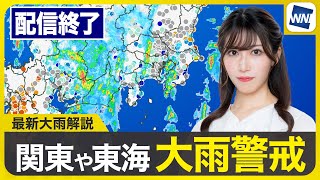 ウェザーニュースの配信のサムネイル画像