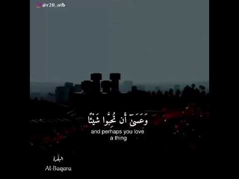 وعسى ان تكرهو شيئا وهو خير لكم وعسى ان تحبوا شيئا وهو شر لكم Youtube