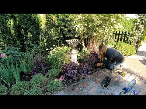 Freshening Up A Perennial Bed x Planting Lots Of Veronica! Garden Answer