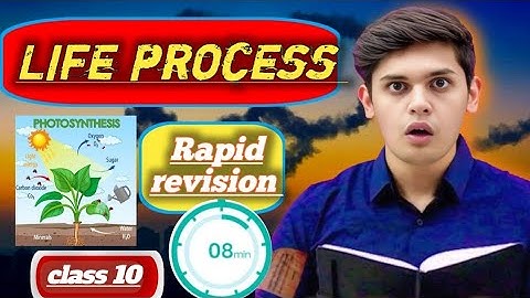Life Process Rapid Revision Oneshot | Biology Quick Revision Class 10th science